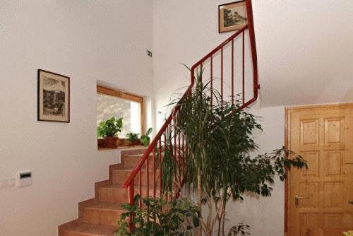 Liszt Apartman Pécs Exterior foto